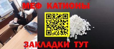трава Сланцы