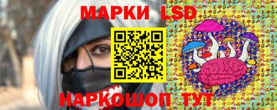 трава Сланцы