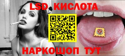 трава Сланцы