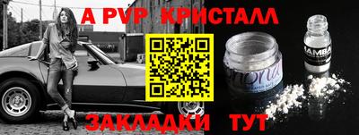 трава Сланцы