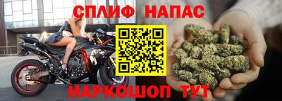 трава Сланцы
