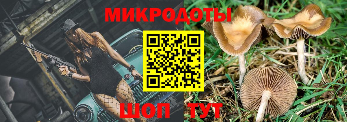 Псилоцибиновые грибы MAGIC MUSHROOMS  Вход с VPN  Псилоцибиновые грибы Psilocybine cubensis  Нальчик 