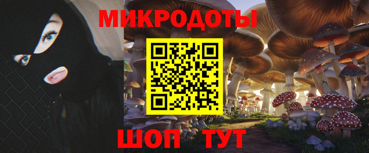 Псилоцибиновые грибы мухоморы Нальчик